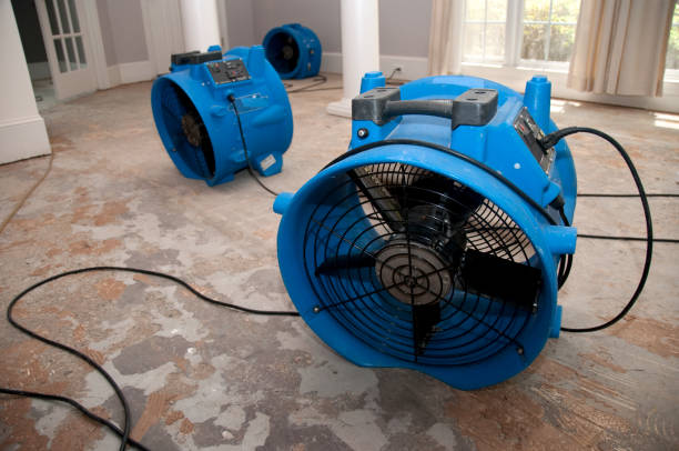 Best Water damage restoration services  in Caseyvle, IL