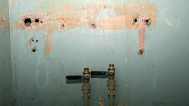 Best Professional water damage repair  in Caseyvle, IL