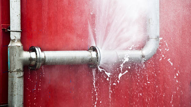 Best Fire Damage Restoration  in Caseyvle, IL